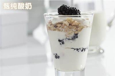 蒙牛牛奶代理商加盟條件全解析 投資者能否輕松加入？