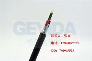 兩芯單模防水尾纜光纜廠(chǎng)家與室外綜合布線(xiàn)光纜價(jià)格解析